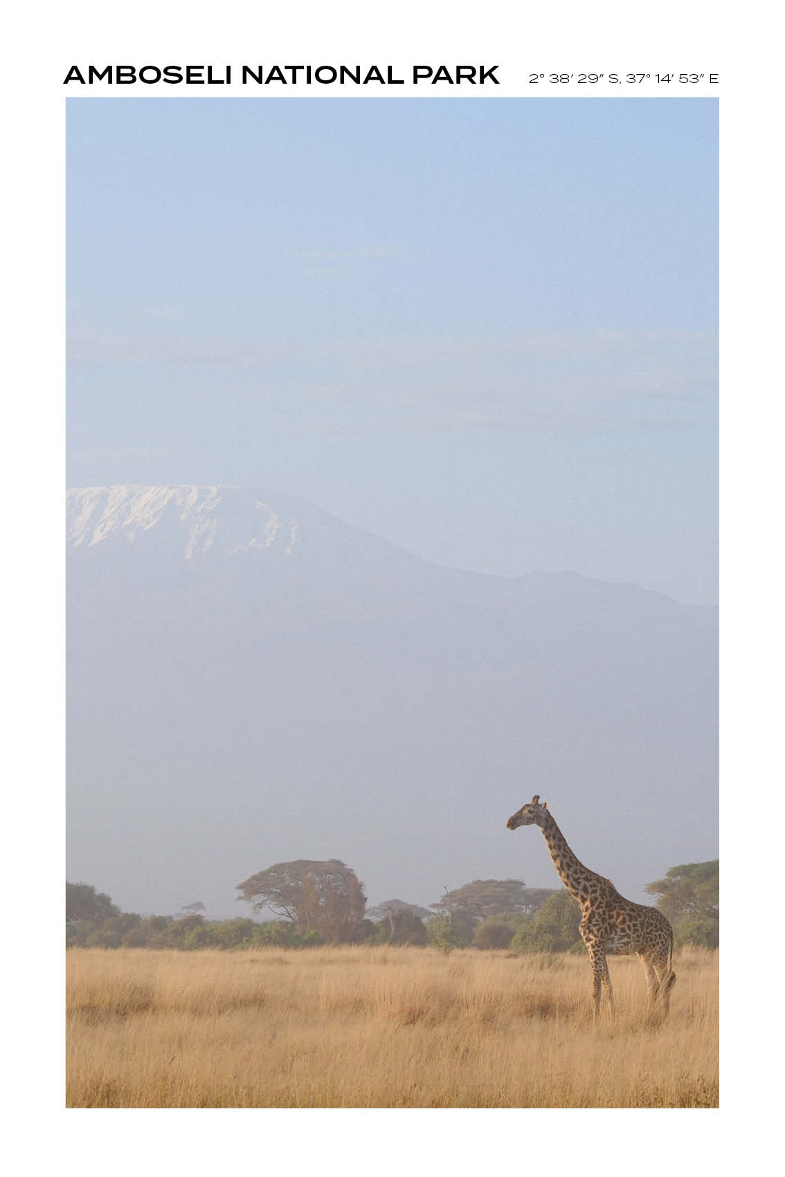 Kenya - Amboseli National Park II - Full