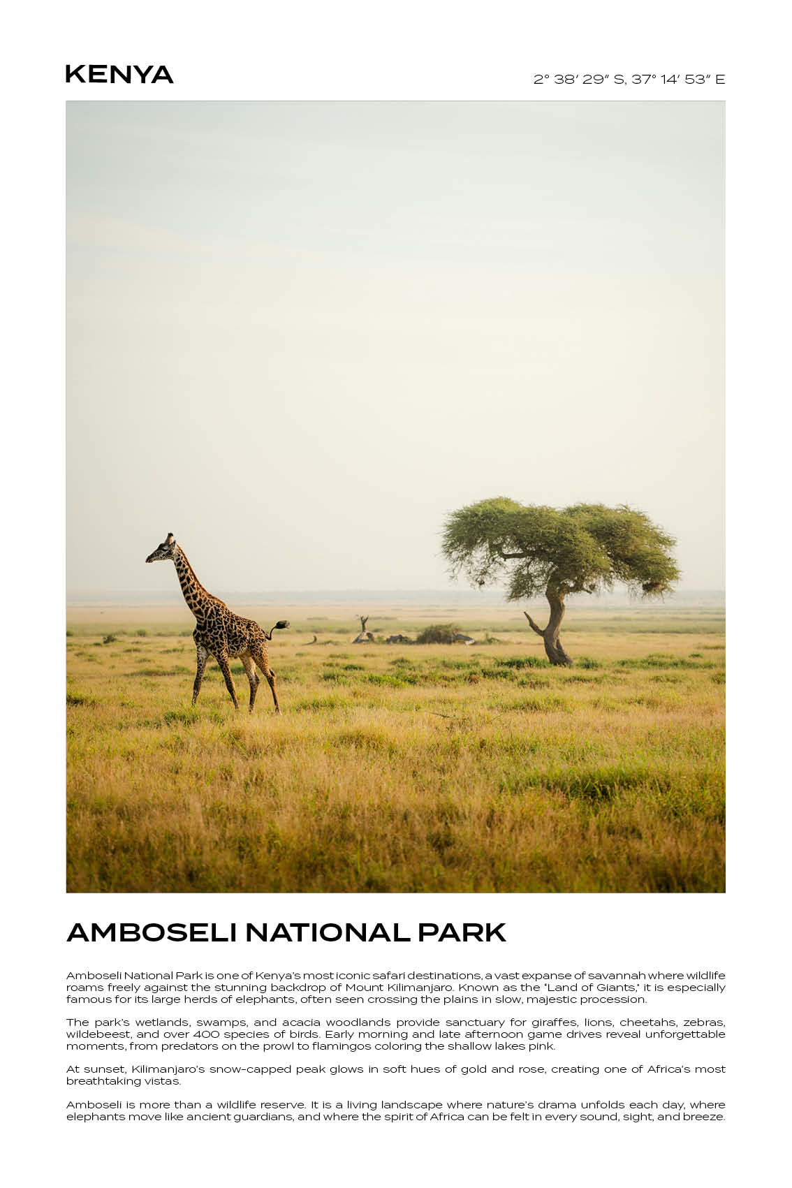 Kenya - Amboseli National Park III