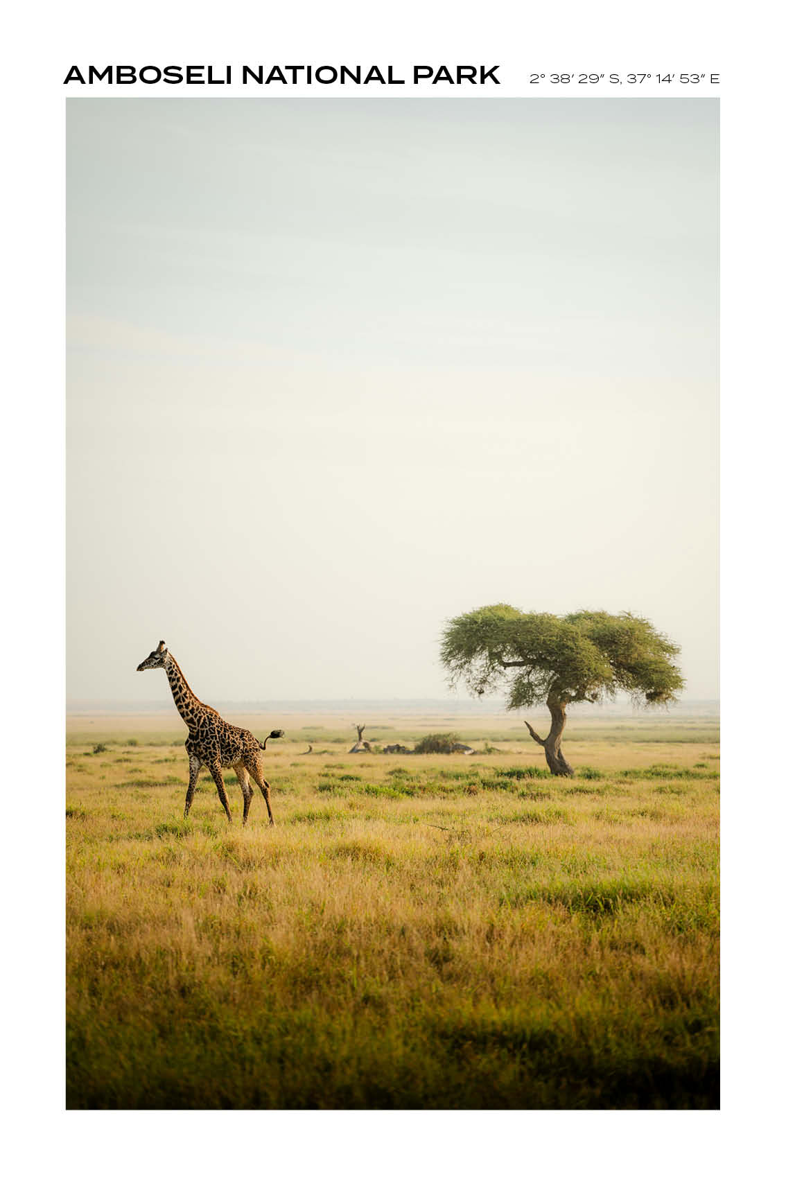 Kenya - Amboseli National Park III - Full