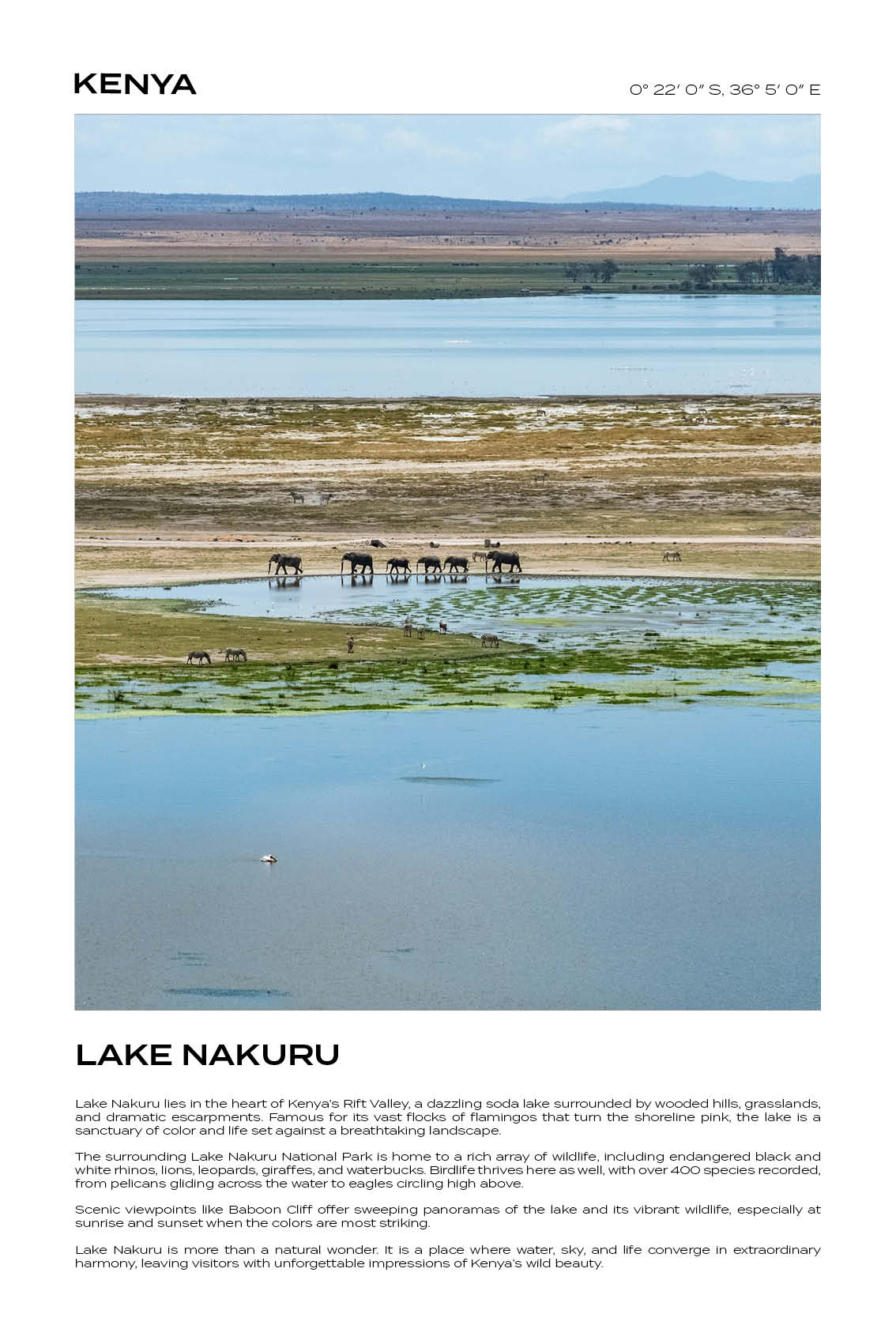 Kenya - Lake Nakuru I