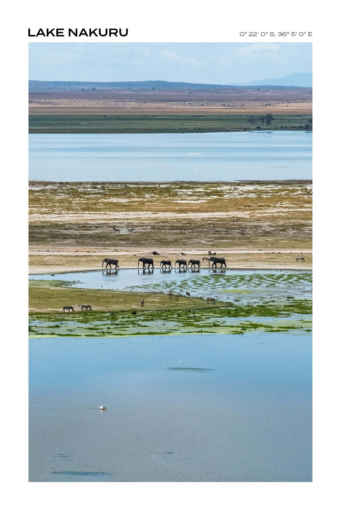 Kenya - Lake Nakuru I - Full
