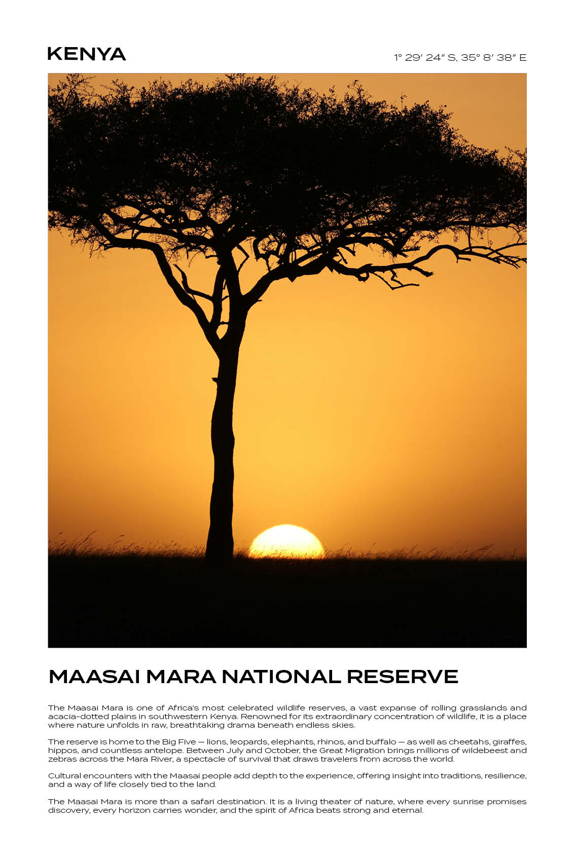 Kenya - Maasai National Reserve I