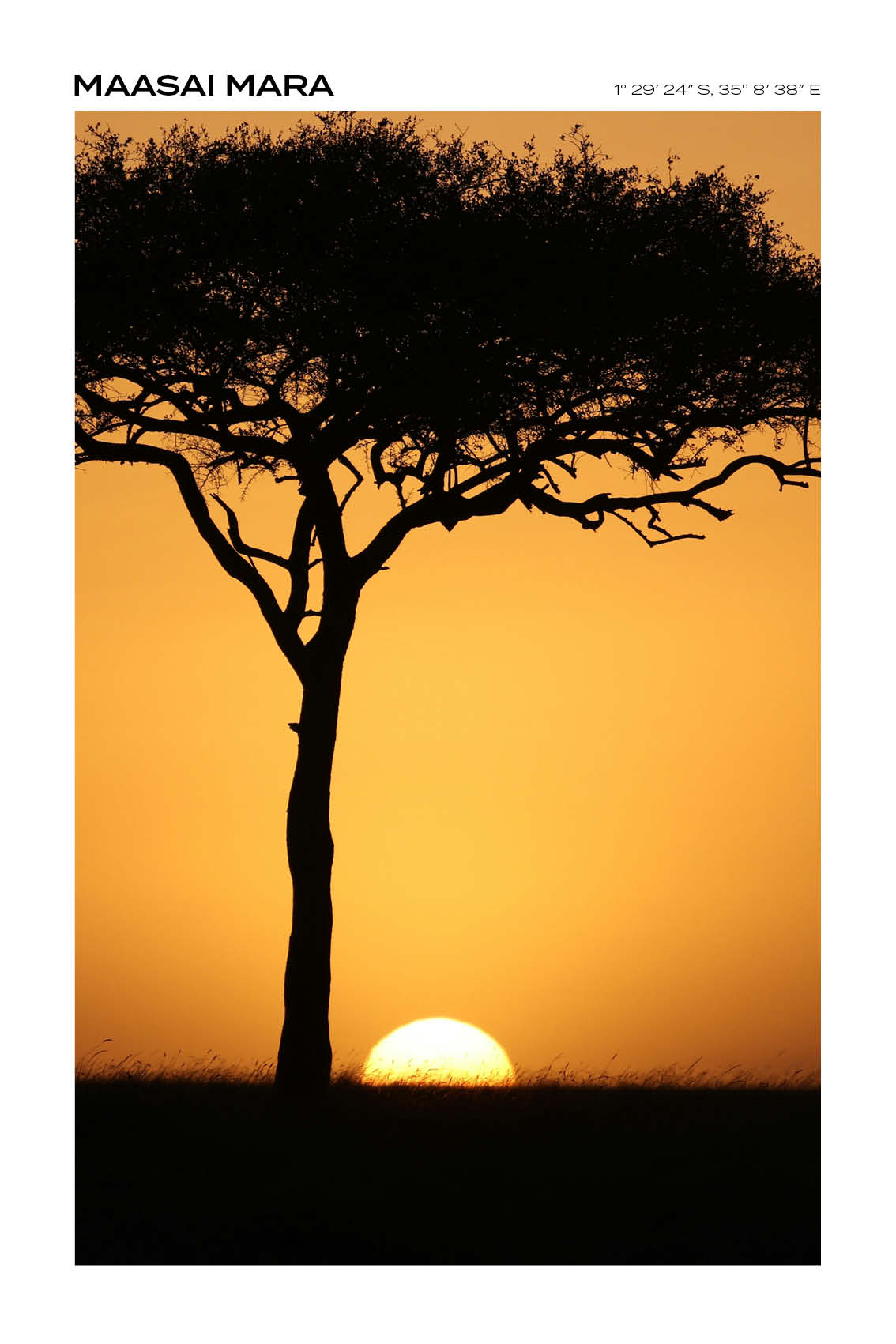 Kenya - Maasai National Reserve I - Full