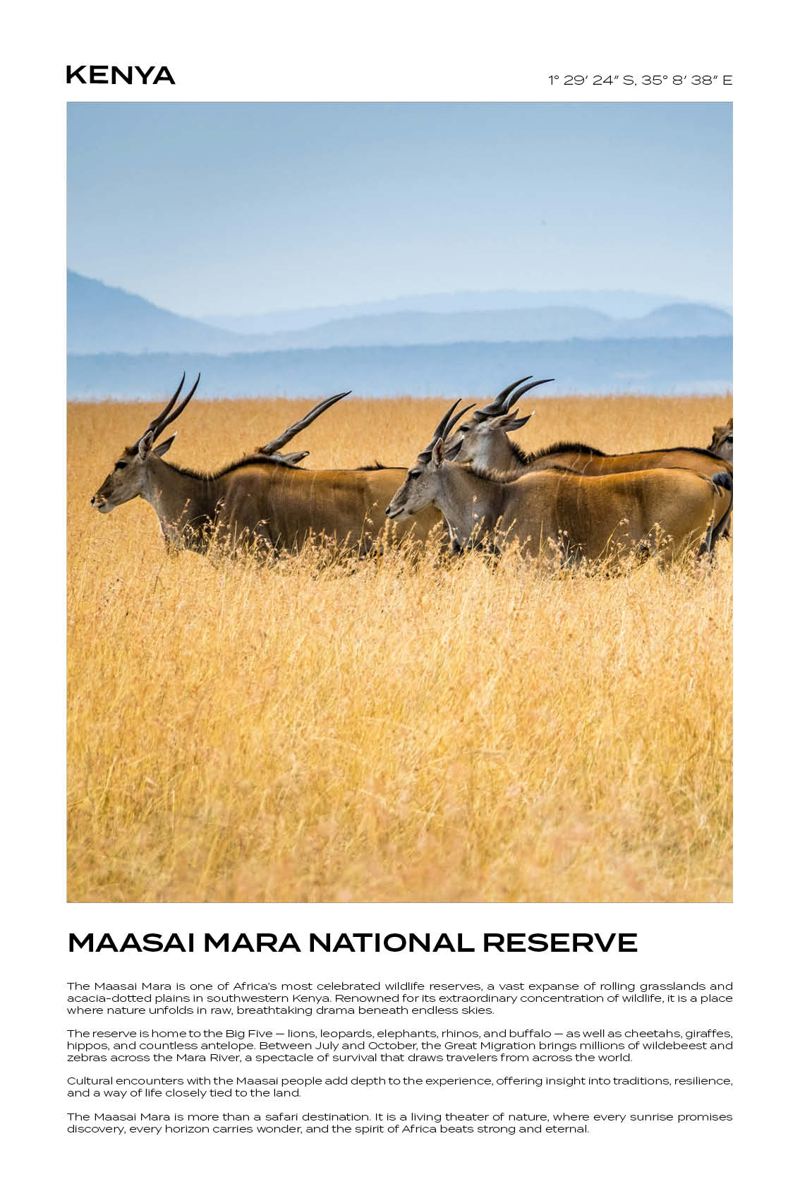 Kenya - Maasai National Reserve II