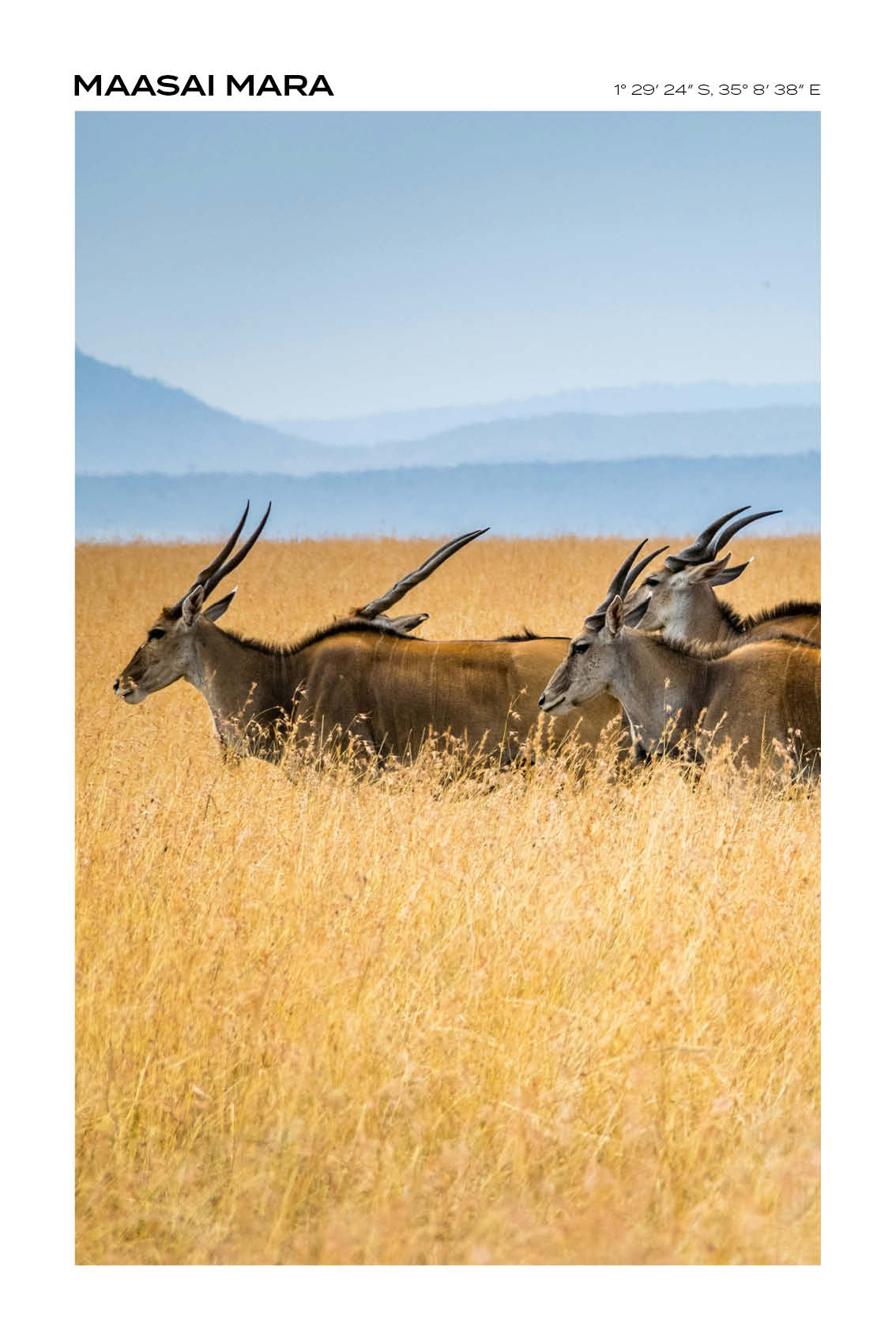 Kenya - Maasai National Reserve II - Full