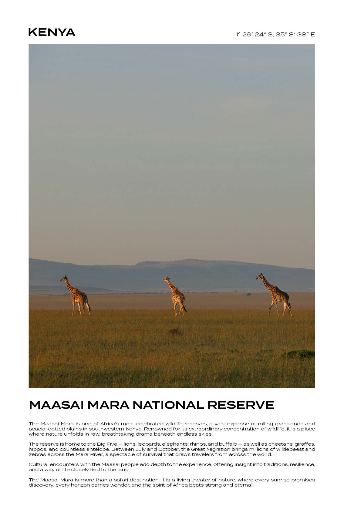 Kenya - Maasai National Reserve III