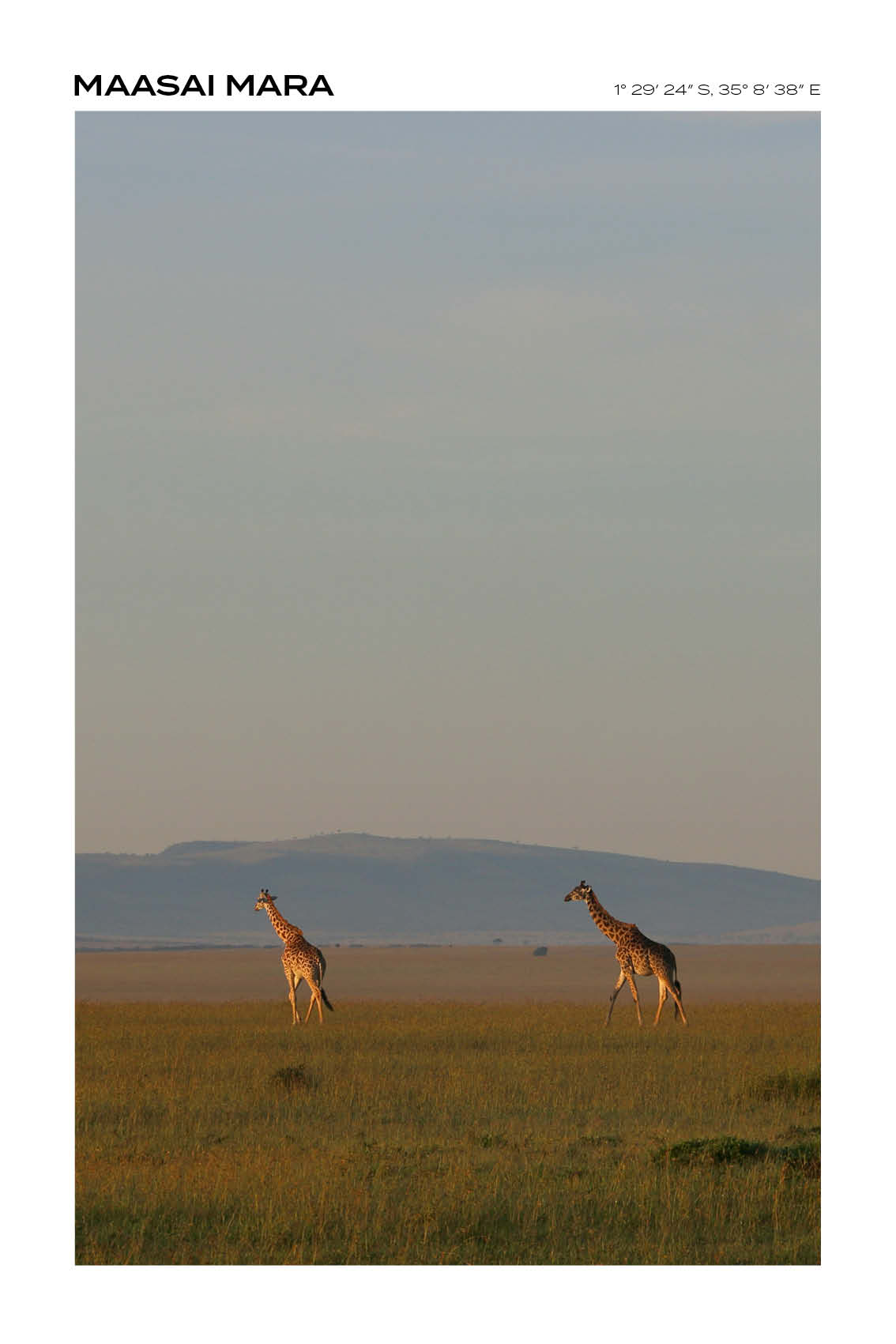 Kenya - Maasai National Reserve III - Full