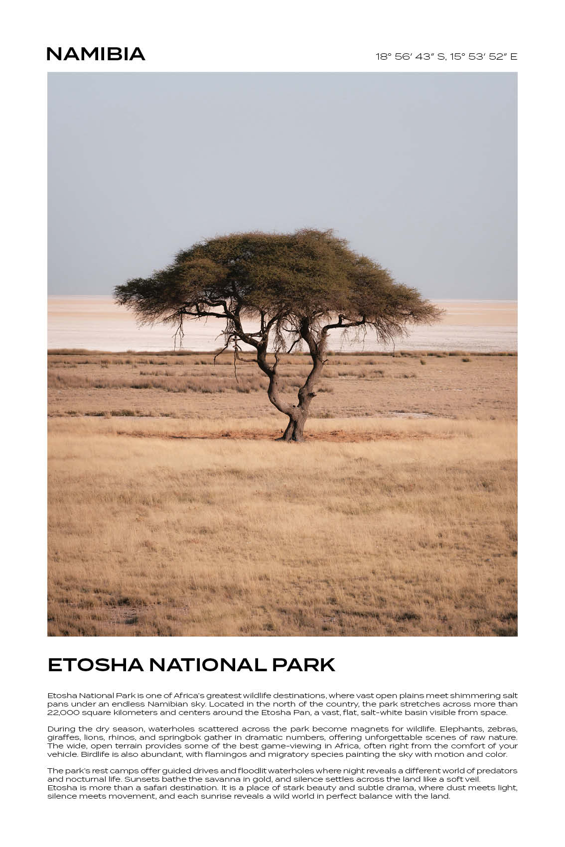 Namibia - Etosha National Park I