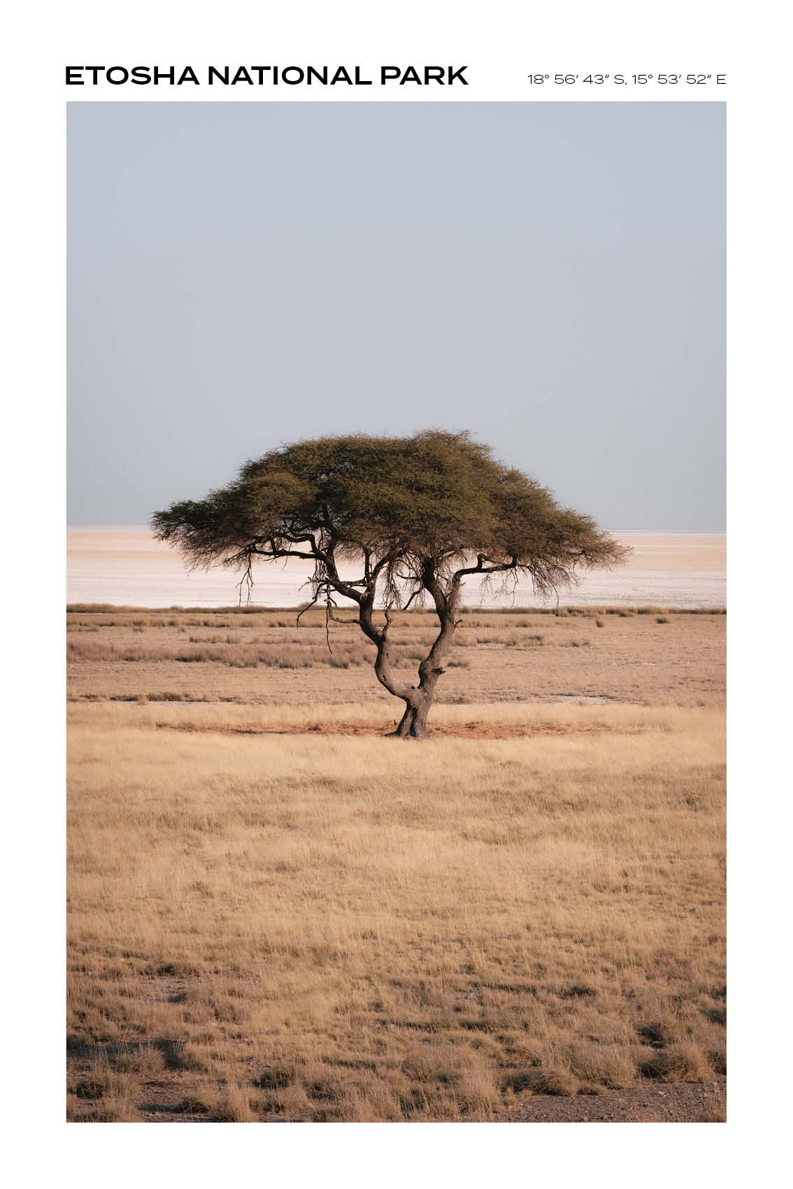 Namibia - Etosha National Park I -Full
