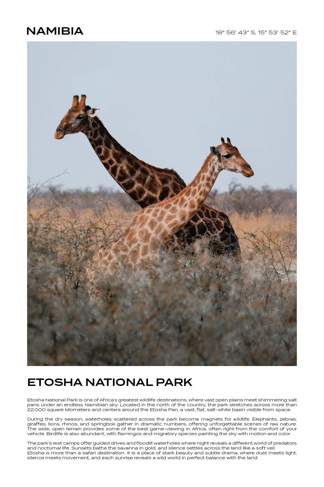 Namibia - Etosha National Park II