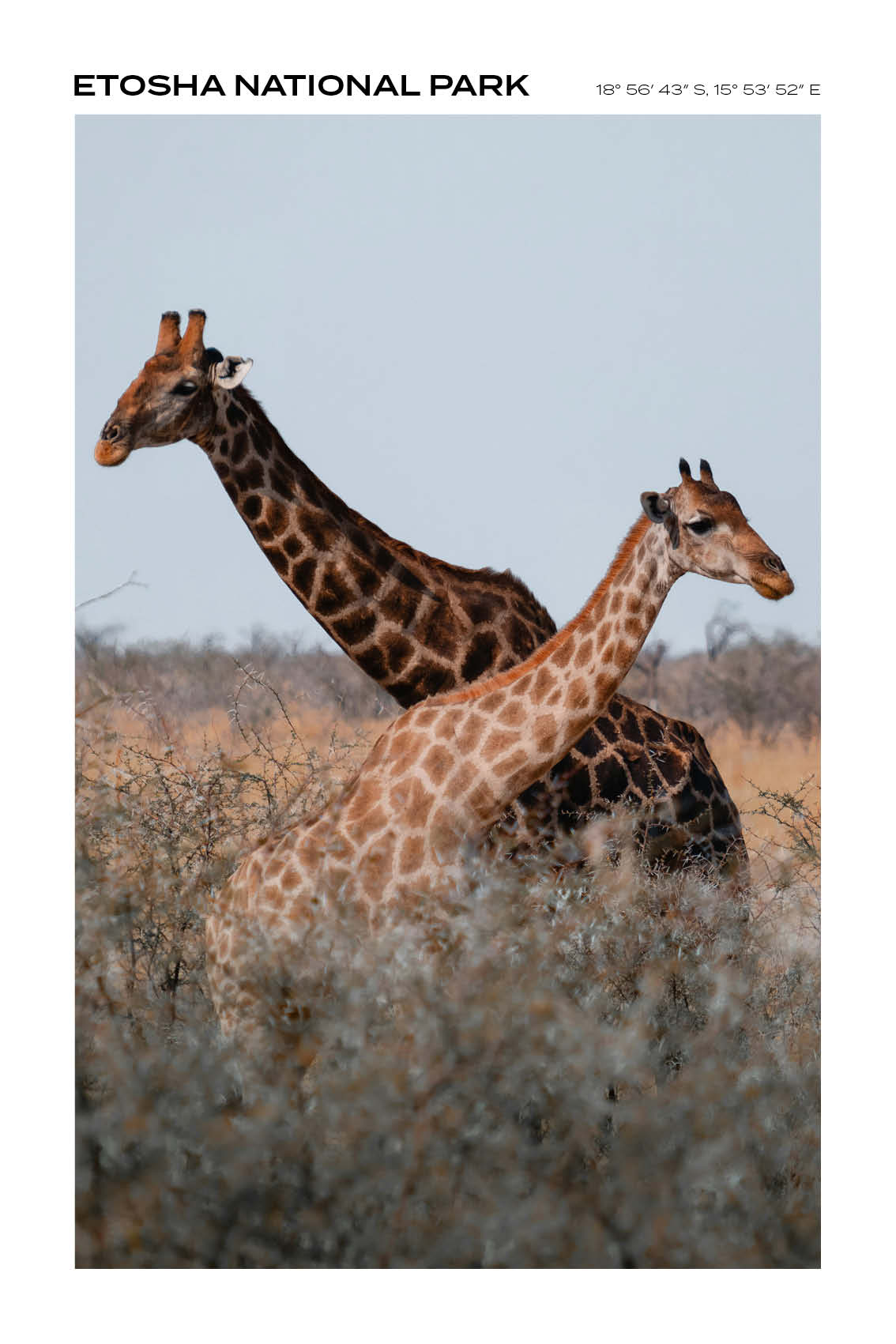 Namibia - Etosha National Park II - Full
