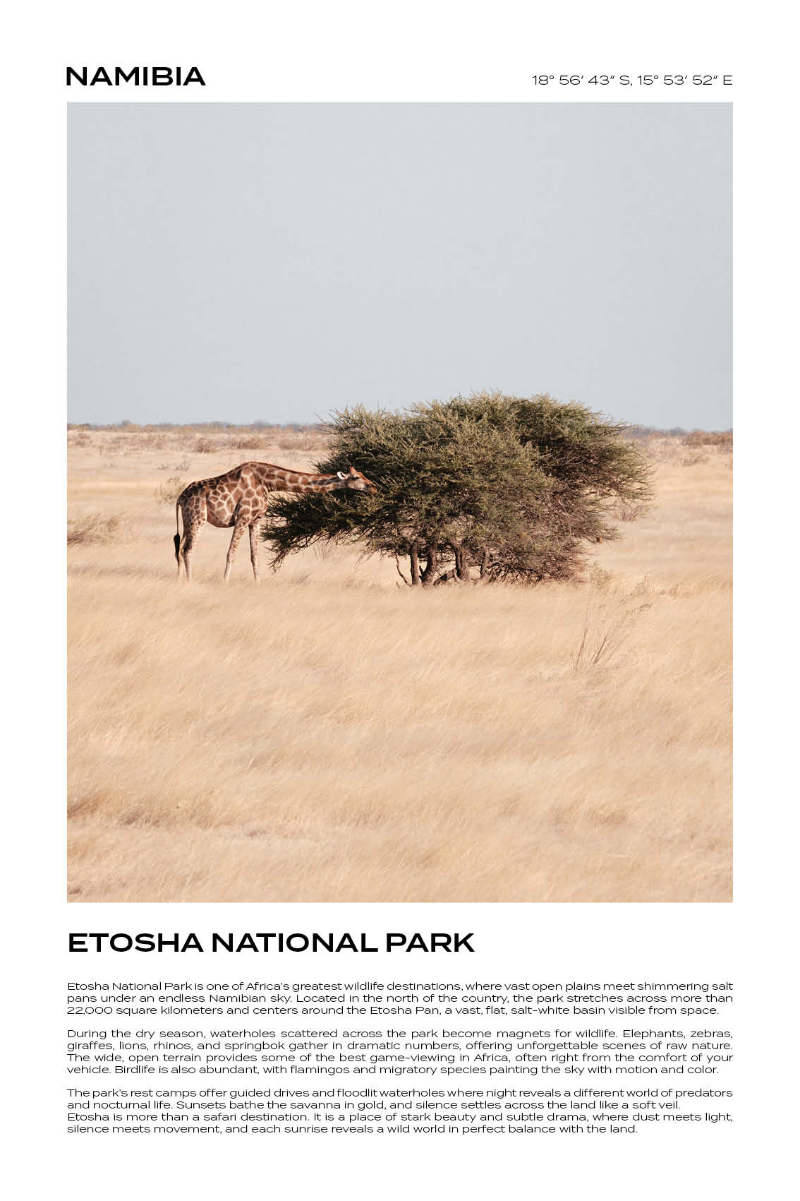Namibia - Etosha National Park III