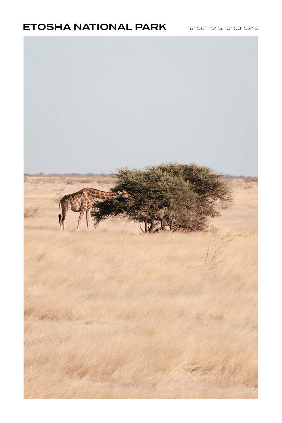 Namibia - Etosha National Park III - Full