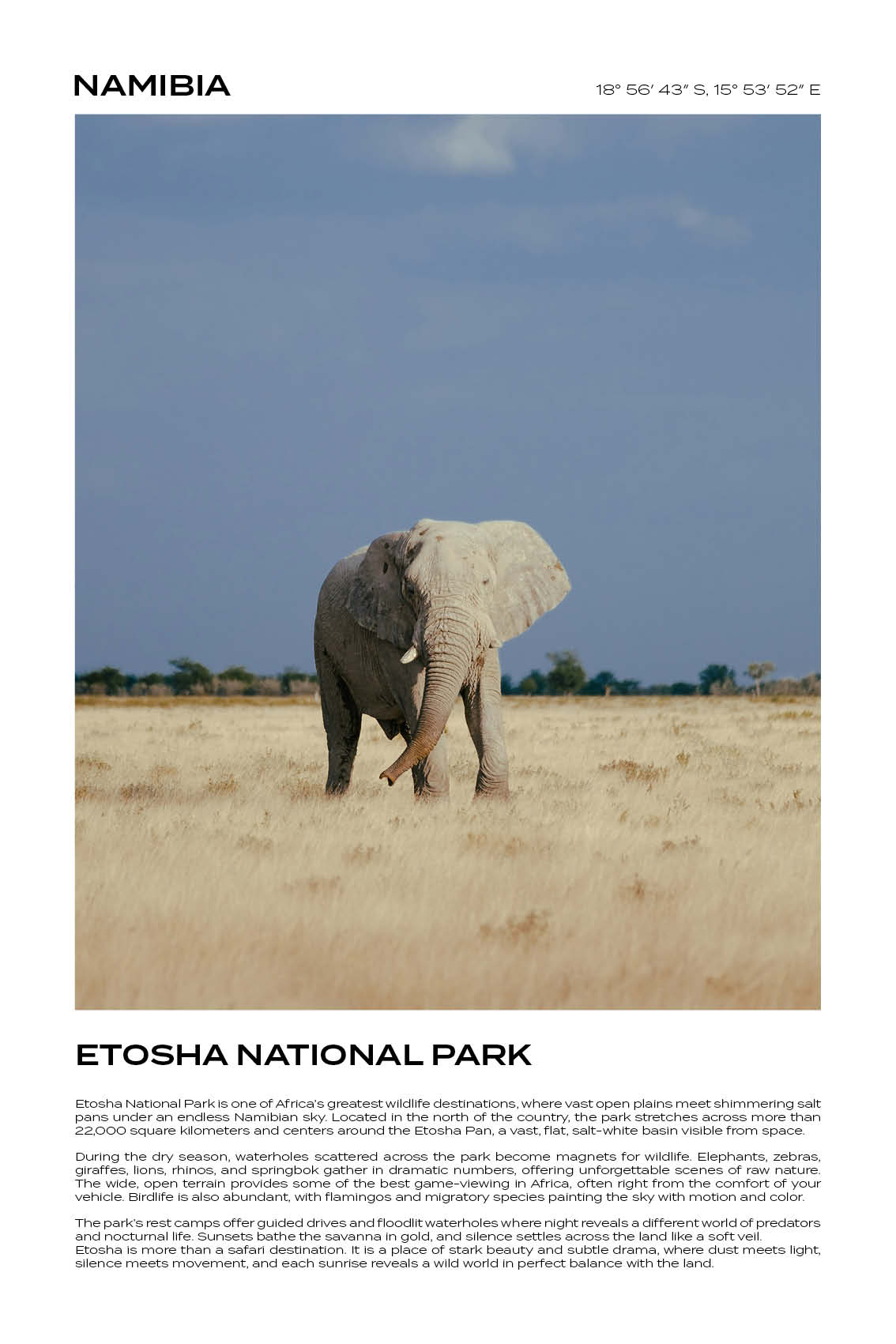 Namibia - Etosha National Park IV