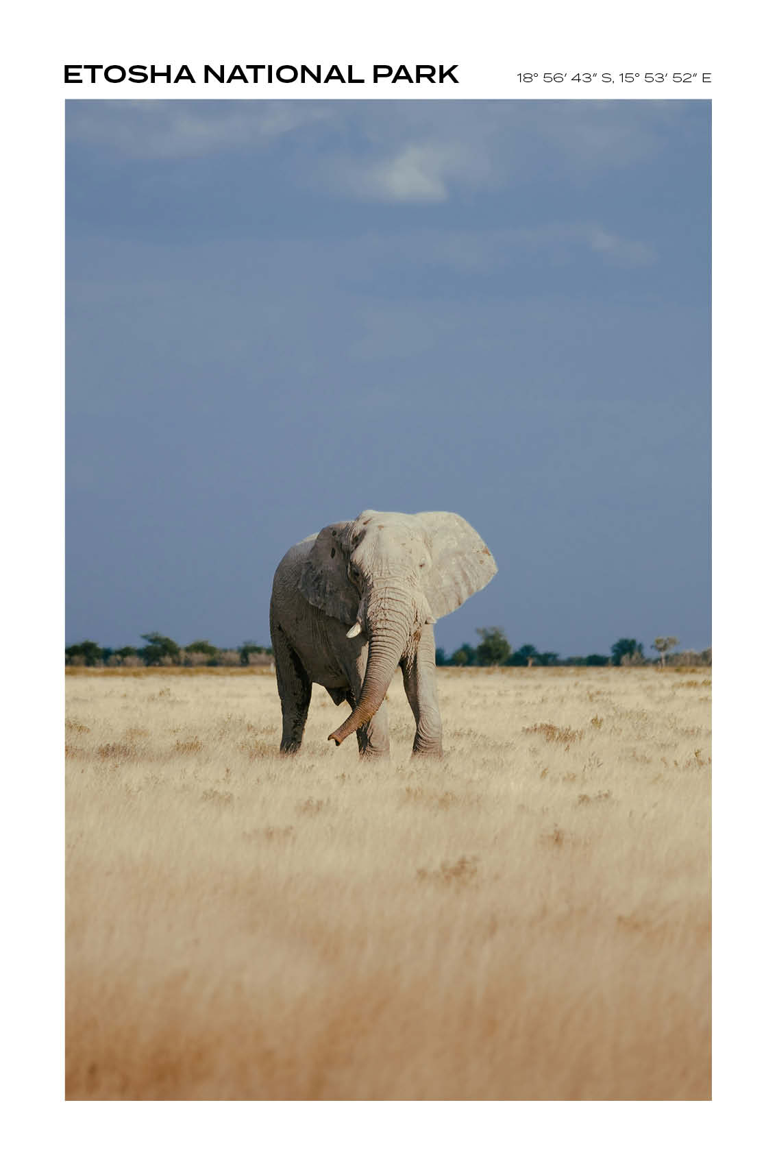 Namibia - Etosha National Park IV - Full